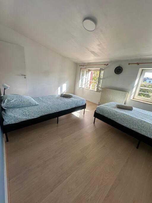Ferienwohnung Le Leon Cladel T3 Proche Parking Gratuit Montauban Exterior foto